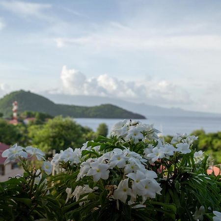 Bungalow Anse Figuier Terre-De-Haut Exterior foto